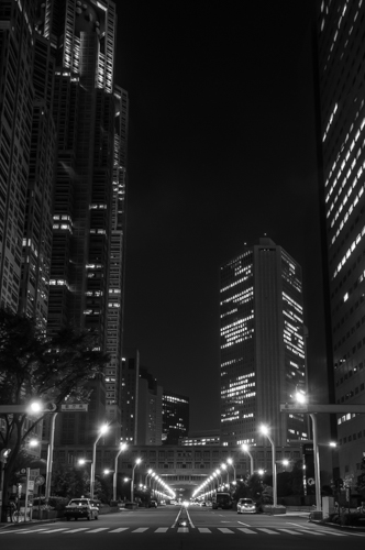 http://pierre-caclin.fr/wp-content/uploads/2025/09/151024-Tokyo-6146_500pix.jpg
